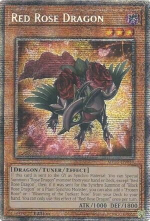 Red Rose Dragon - MP25-EN037 (Starlight Rare)