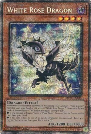 White Rose Dragon - MP25-EN038 (Starlight Rare)