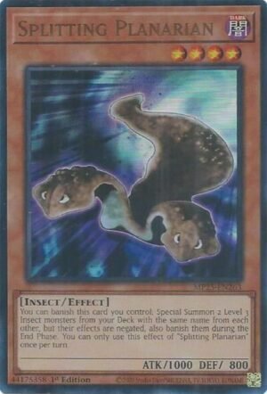 Splitting Planarian - MP25-EN263 (Ultra Rare)
