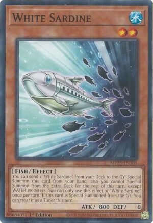 White Sardine - MP25-EN305 (Common)