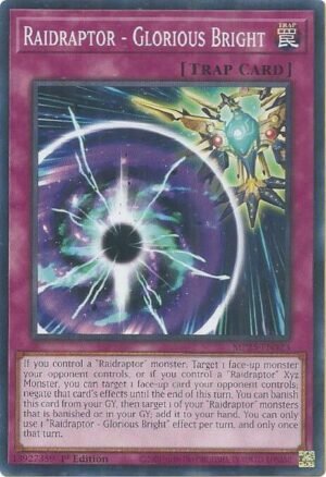 Raidraptor - Glorious Bright - MP25-EN323 (Common)