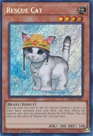 Rescue Cat - RA02-EN001 (Super Rare)